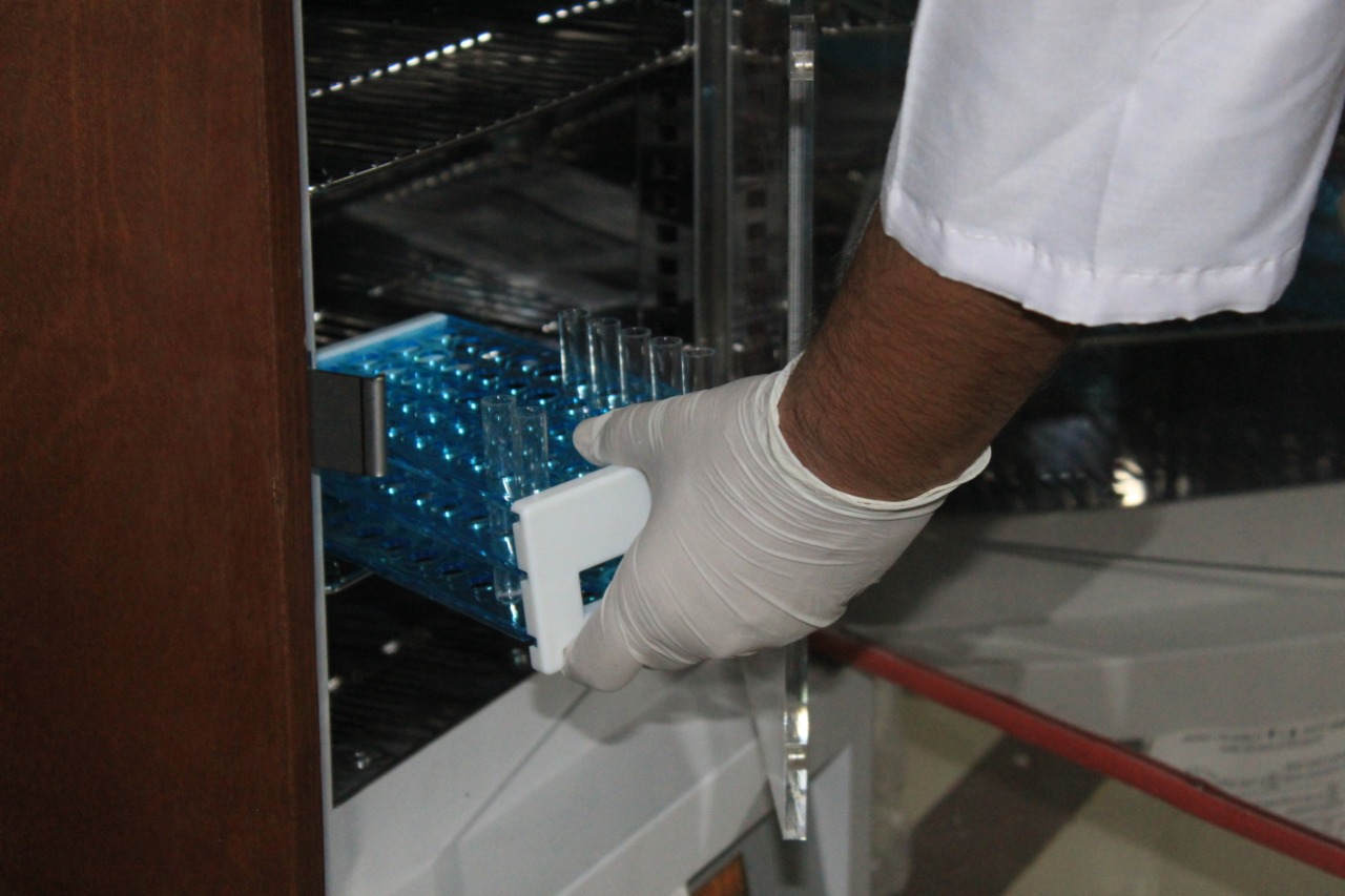 KMF Blood Bank